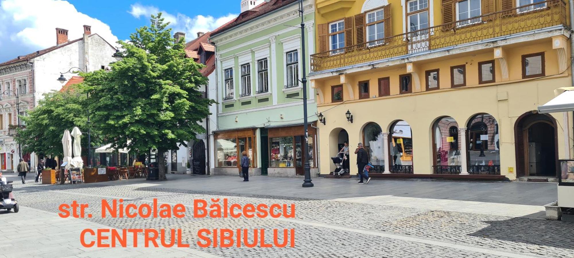 Victorian House Daire Sibiu Dış mekan fotoğraf